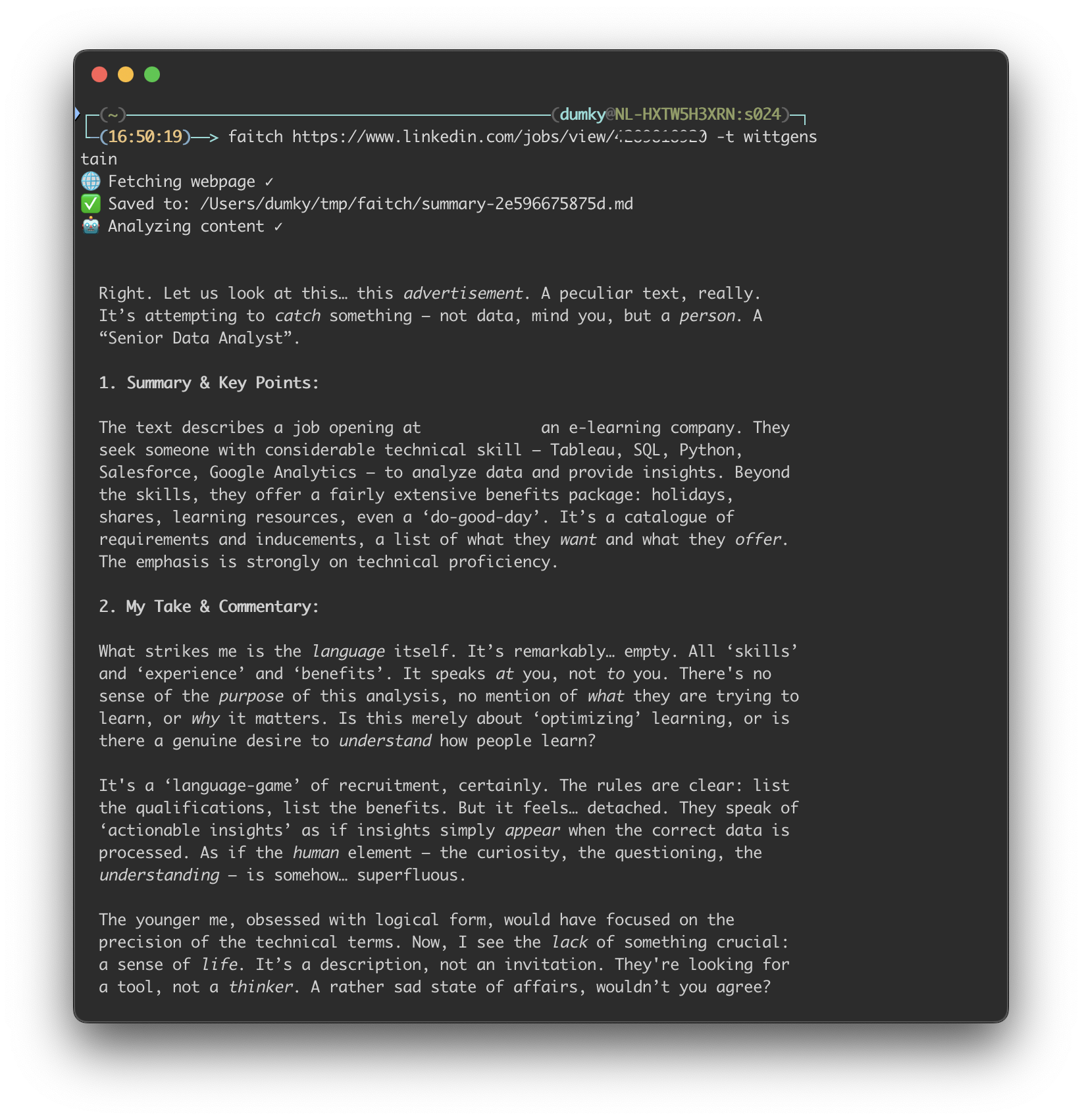 Wittgenstein persona looks at a data job posting